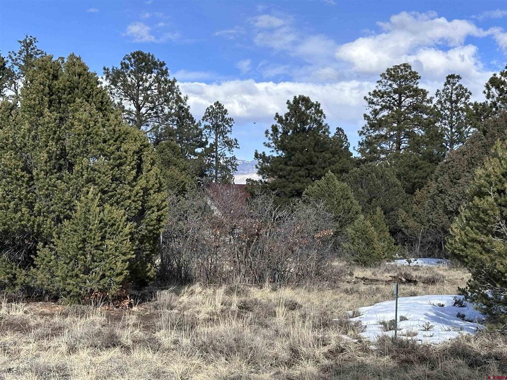 1960 Marmot Drive Property Photo 15