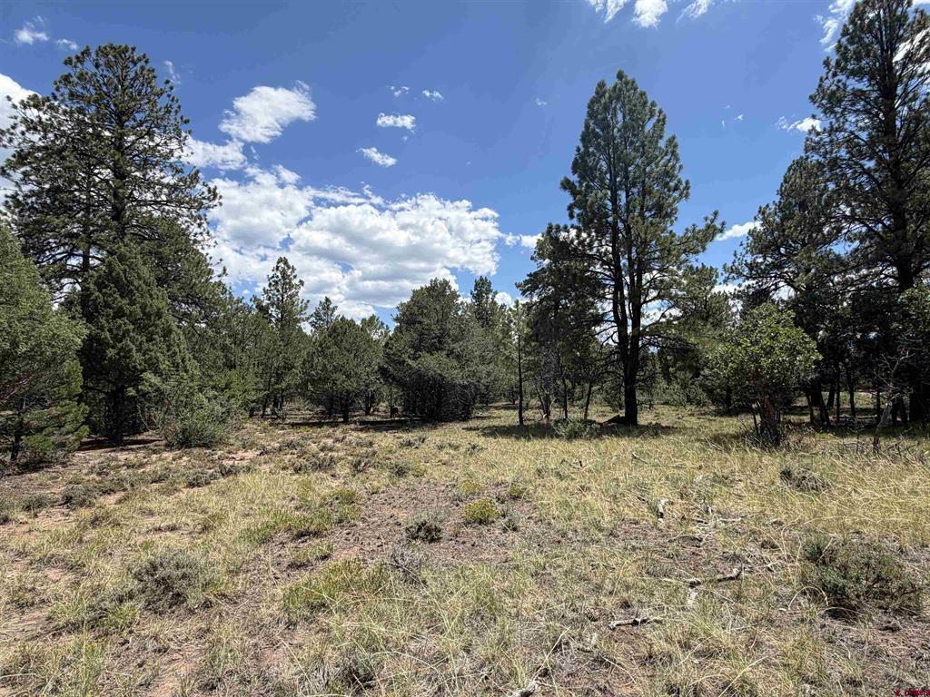 1960 Marmot Drive Property Photo 22