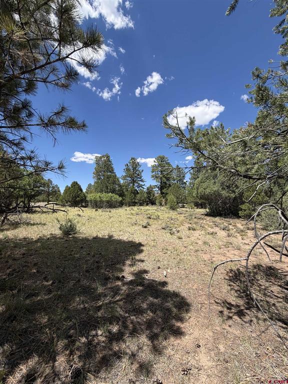1960 Marmot Drive Property Photo 25