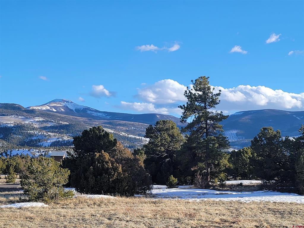 4413 Bear Creek Circle Property Photo