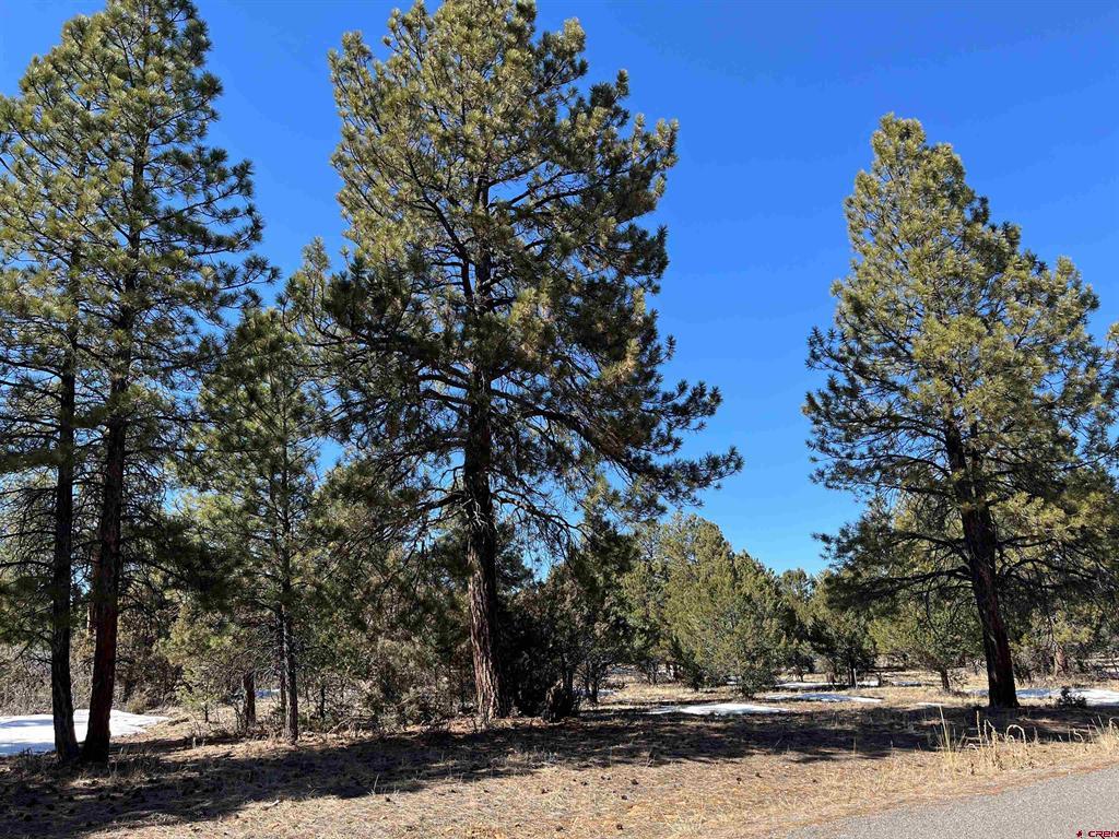 Tbd Badger Trail South Property Photo