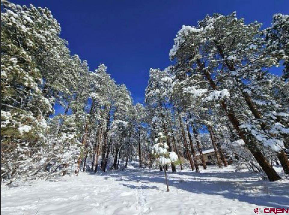 32 Cub Court Property Photo