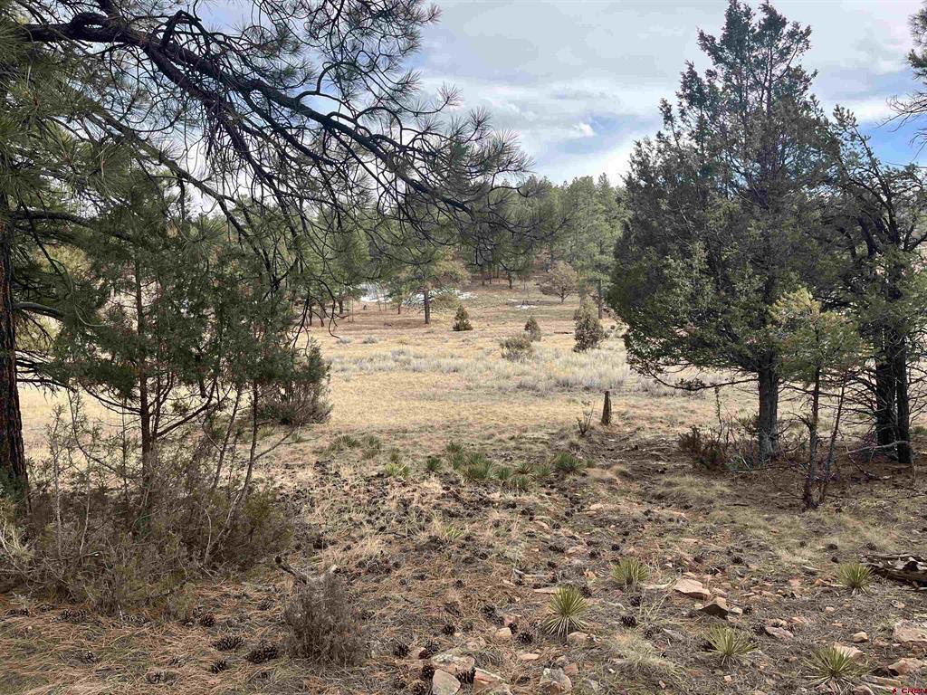 Tbd White Tail Lane Property Photo