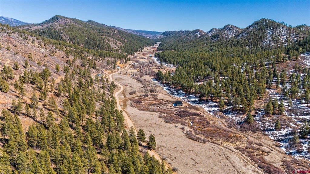 Bear Creek Pine Real Estate Listings Main Image