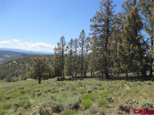 308 Cinnamon Trail Property Photo 1