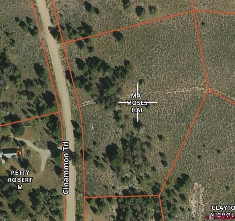 308 Cinnamon Trail Property Photo 2