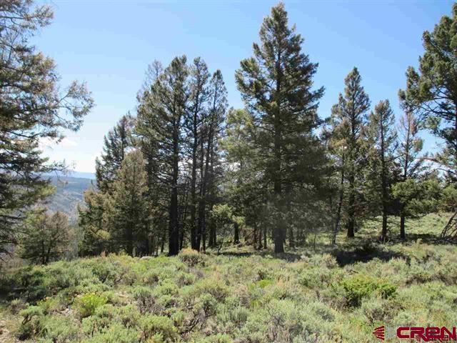 308 Cinnamon Trail Property Photo 4