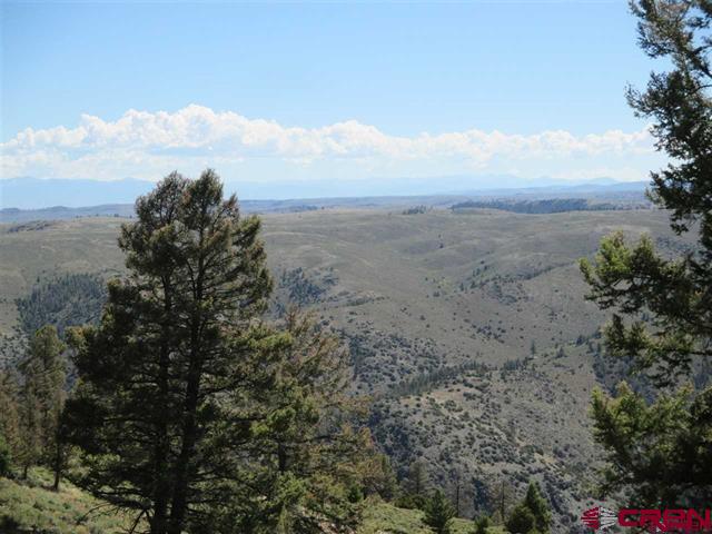 308 Cinnamon Trail Property Photo 5