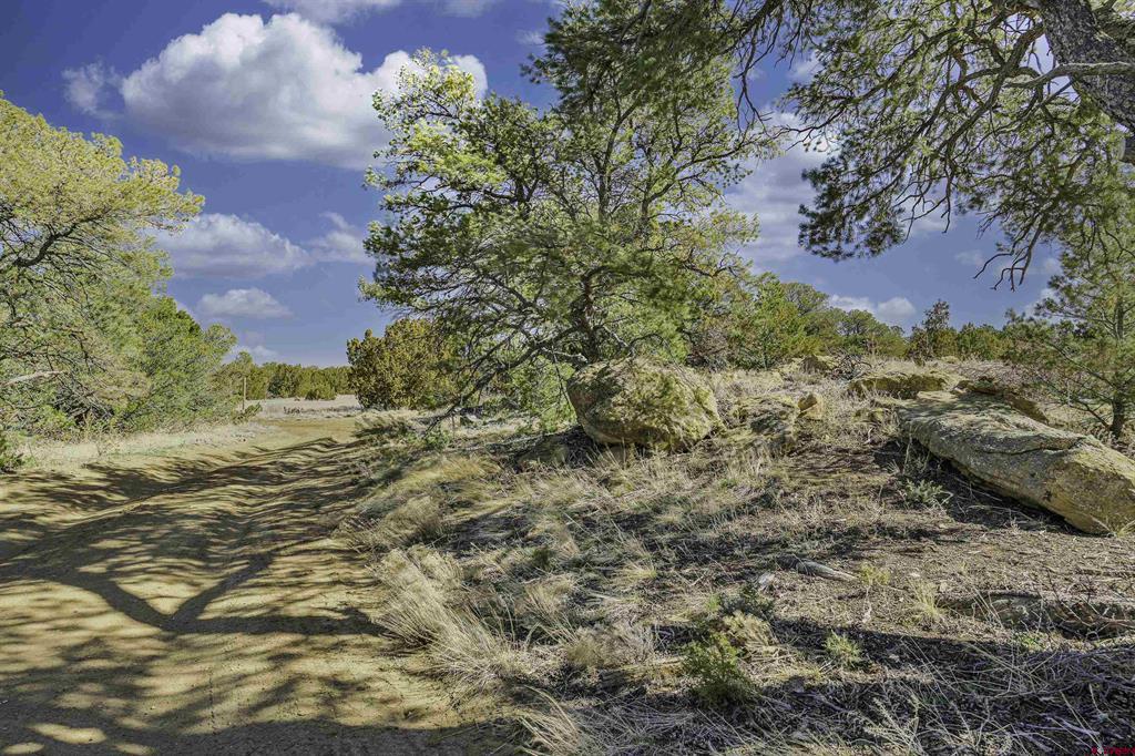 4178 Co Rd 504 Property Photo 27