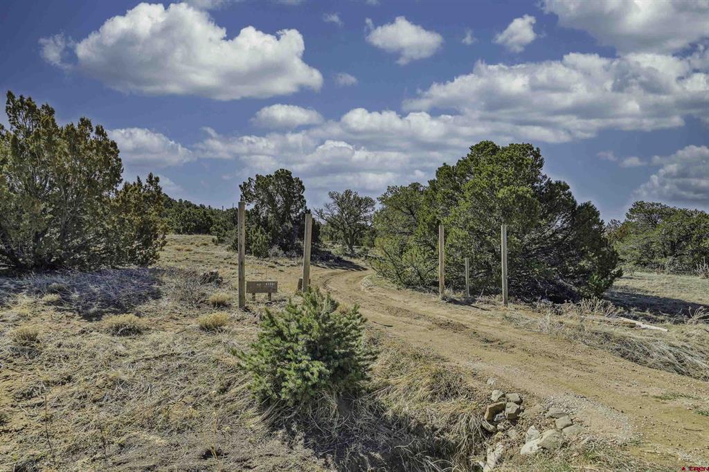 4178 Co Rd 504 Property Photo 28