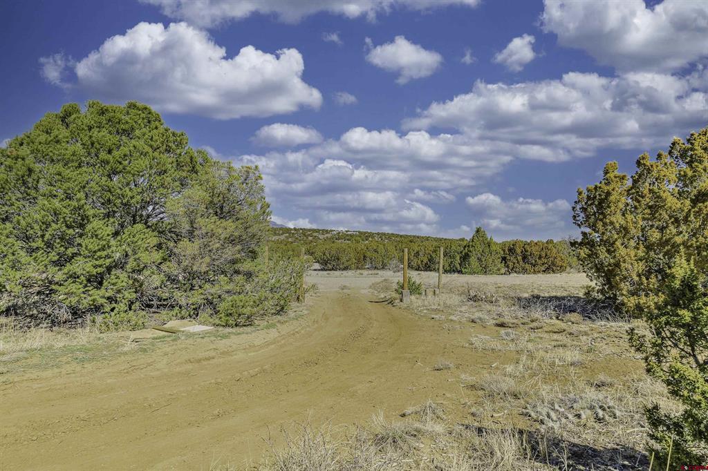 4178 Co Rd 504 Property Photo 29