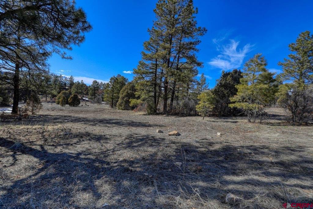 829 Buttress Avenue Property Photo