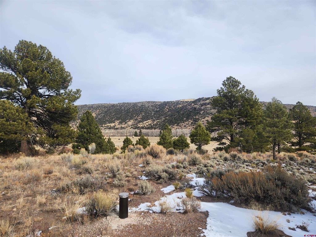 Conejos River Trails Real Estate Listings Main Image