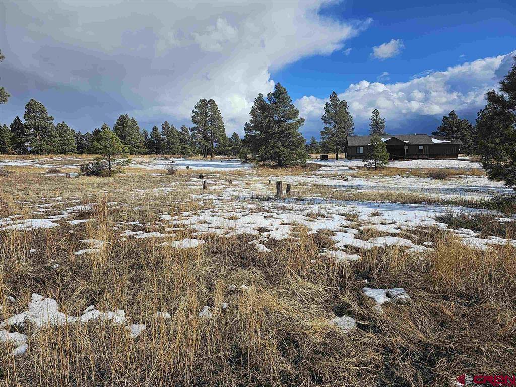 335 Domicile Circle Property Photo