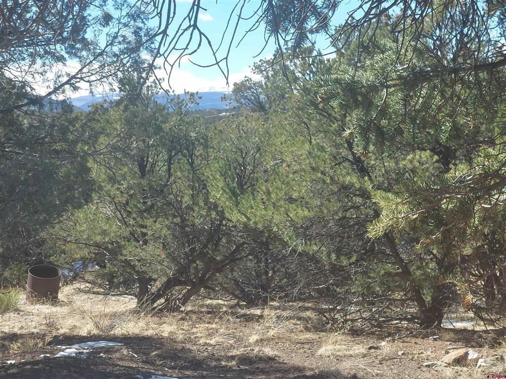 813 Milner Pass Rd. Property Photo 18