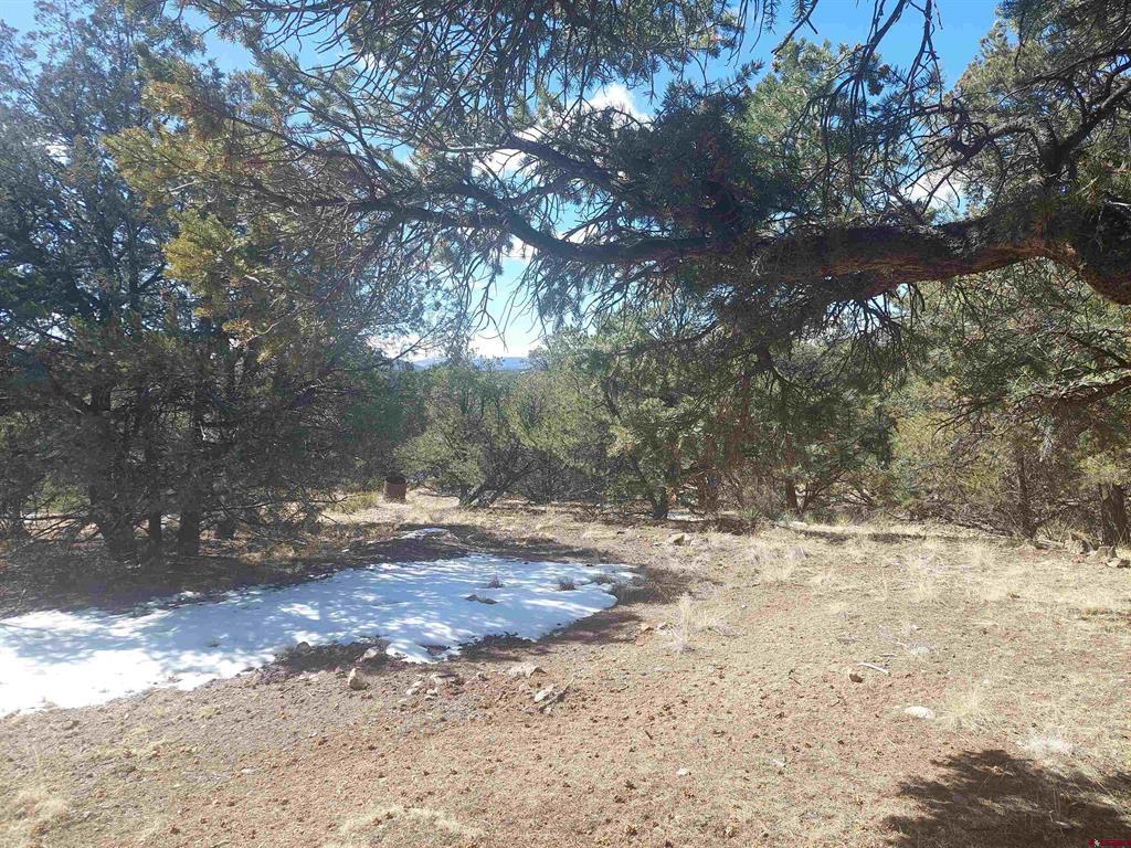 813 Milner Pass Rd. Property Photo 19