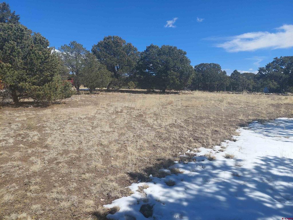 813 Milner Pass Rd. Property Photo 25