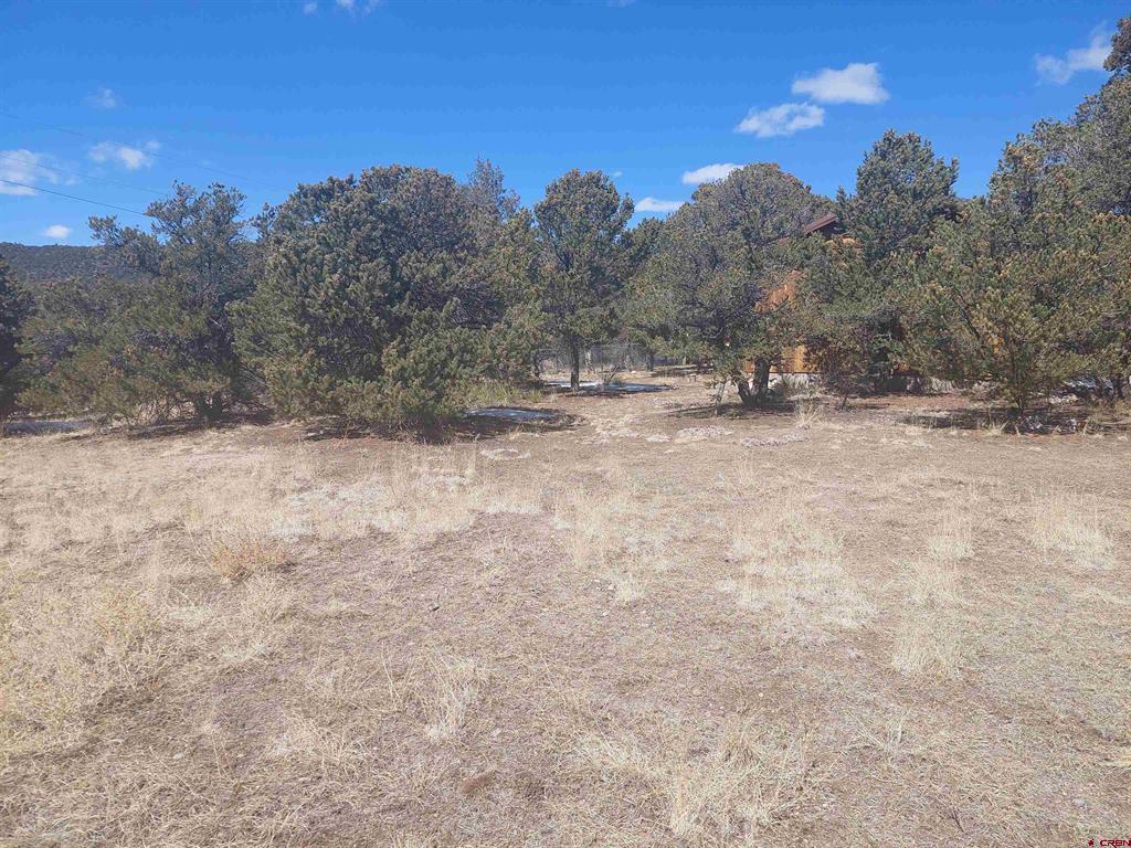 813 Milner Pass Rd. Property Photo 26
