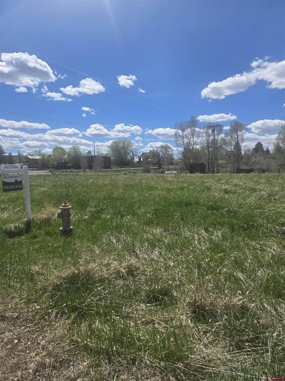 1130 Forest Street Property Photo 1