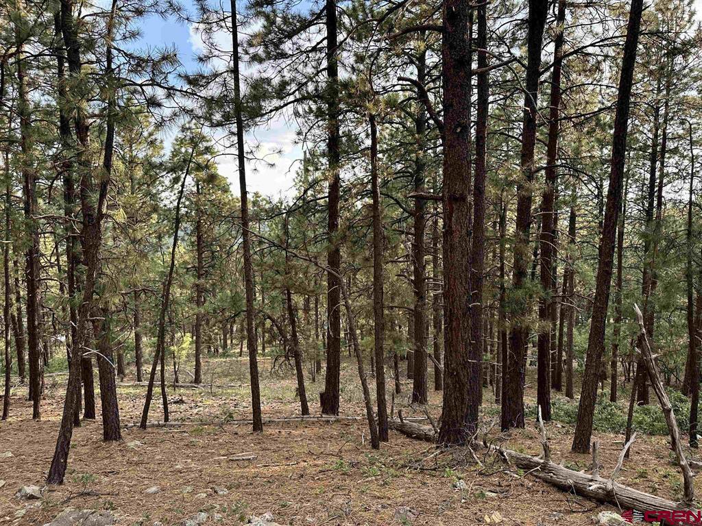 259 Hillside Circle Property Photo