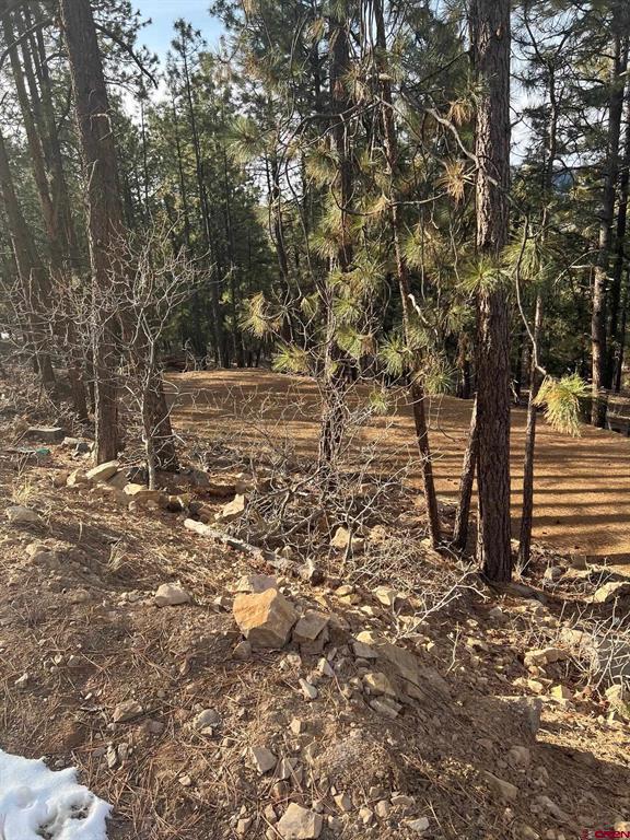 259 Hillside Circle Property Photo 4