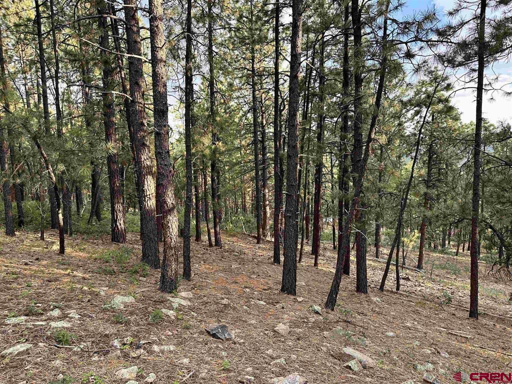 259 Hillside Circle Property Photo 5