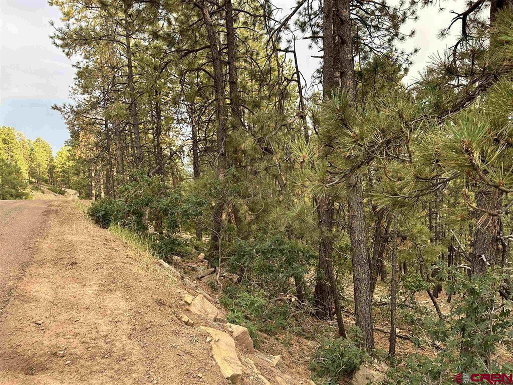259 Hillside Circle Property Photo 10
