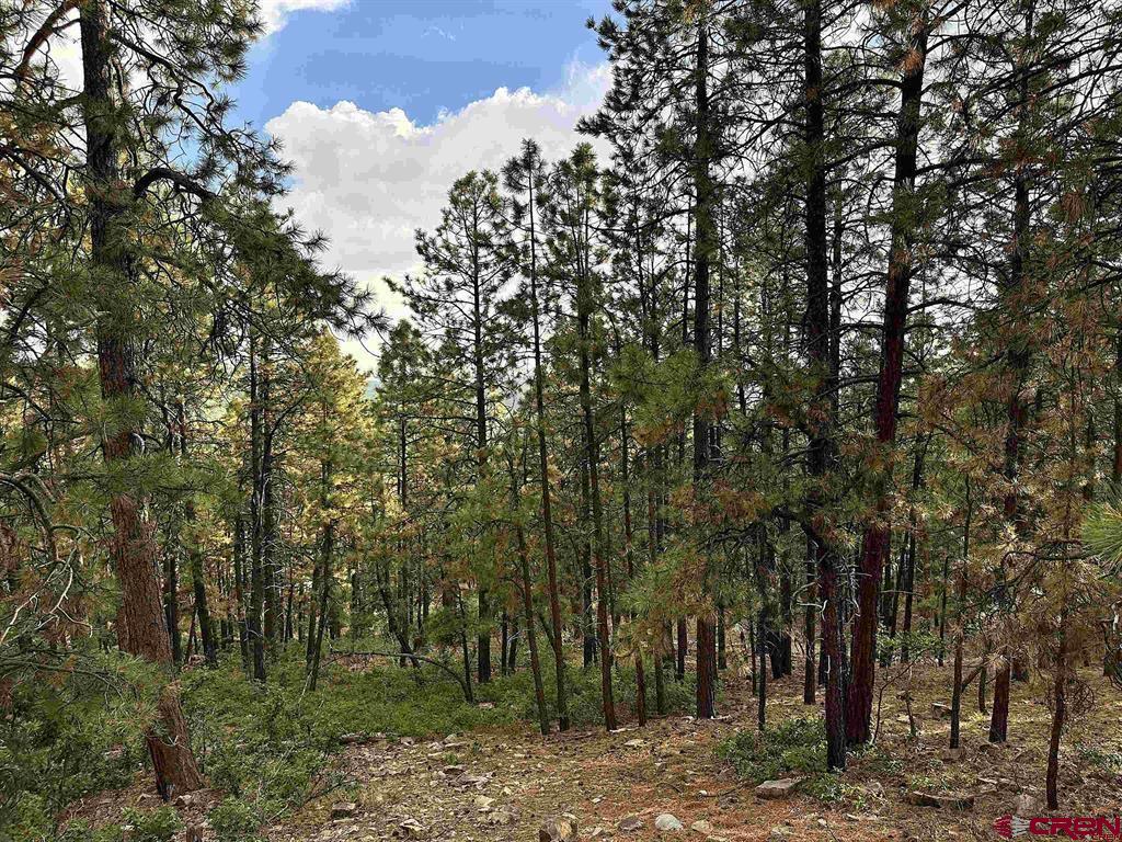 259 Hillside Circle Property Photo 11