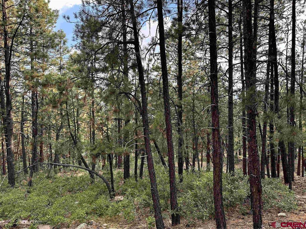 259 Hillside Circle Property Photo 13