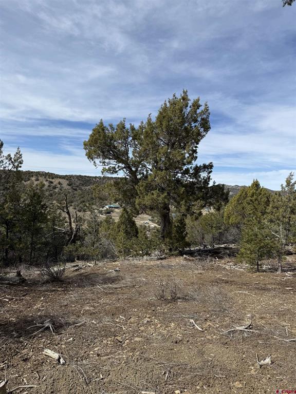 Tbd J8 Road Property Photo 3