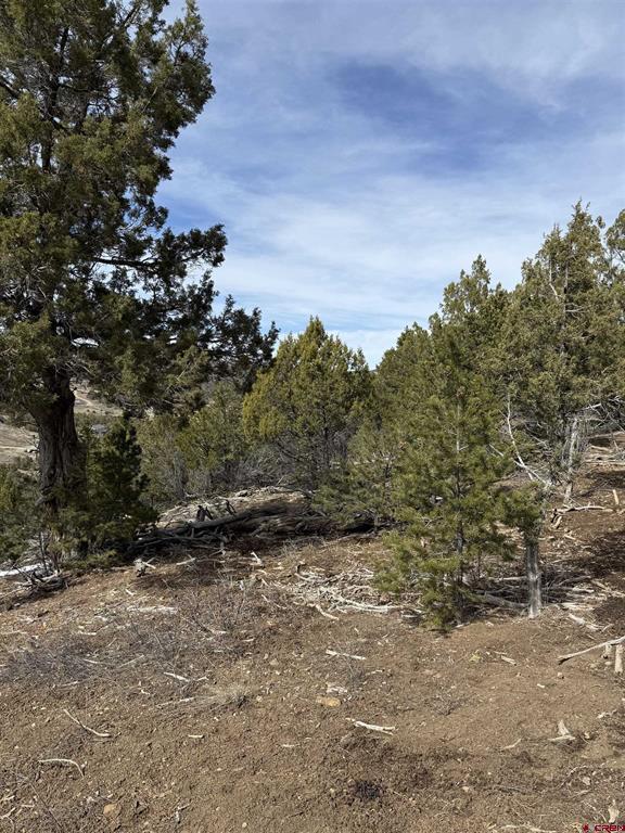 Tbd J8 Road Property Photo 5