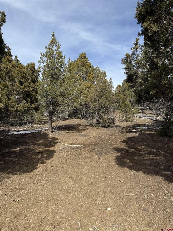 Tbd J8 Road Property Photo 6