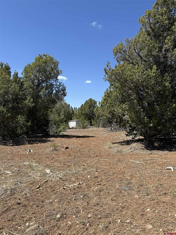 Tbd J8 Road Property Photo 10