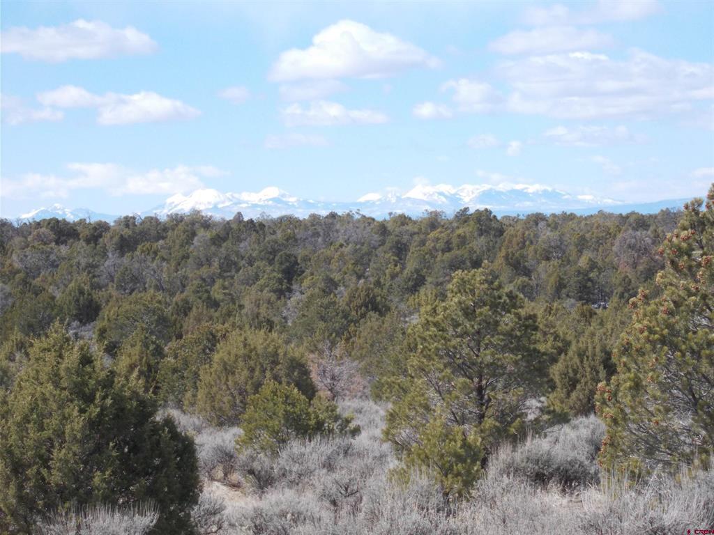 Tbd Lot19 Road Property Photo