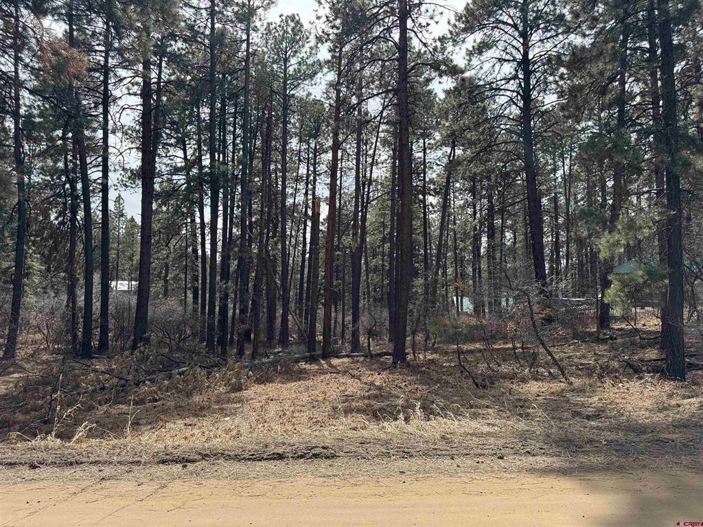 102 E Valley View Drive Property Photo 2