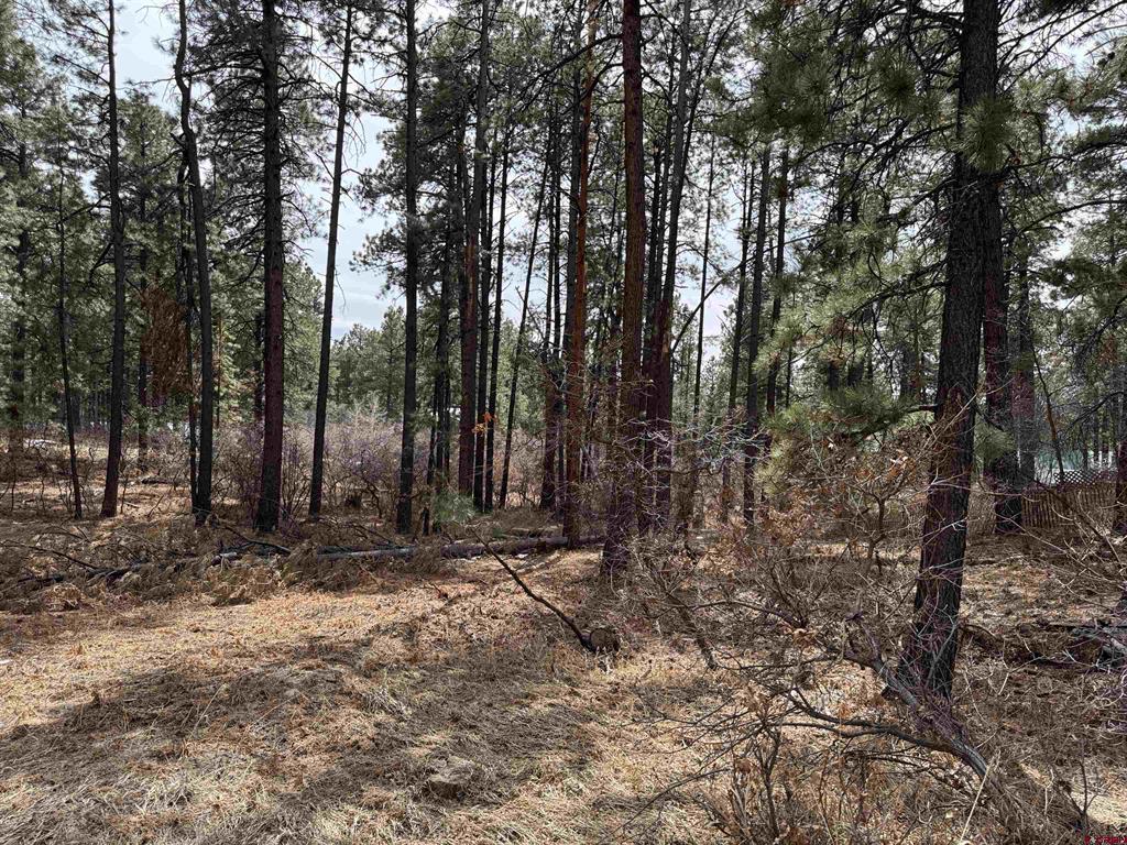 102 E Valley View Drive Property Photo 3