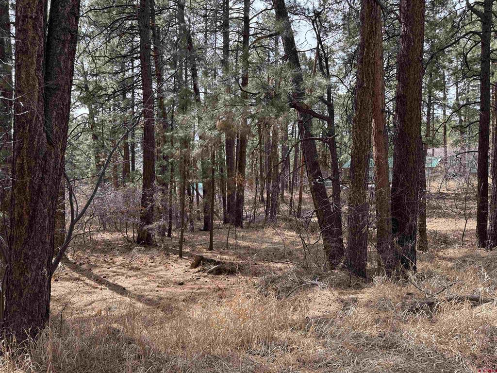 102 E Valley View Drive Property Photo 4