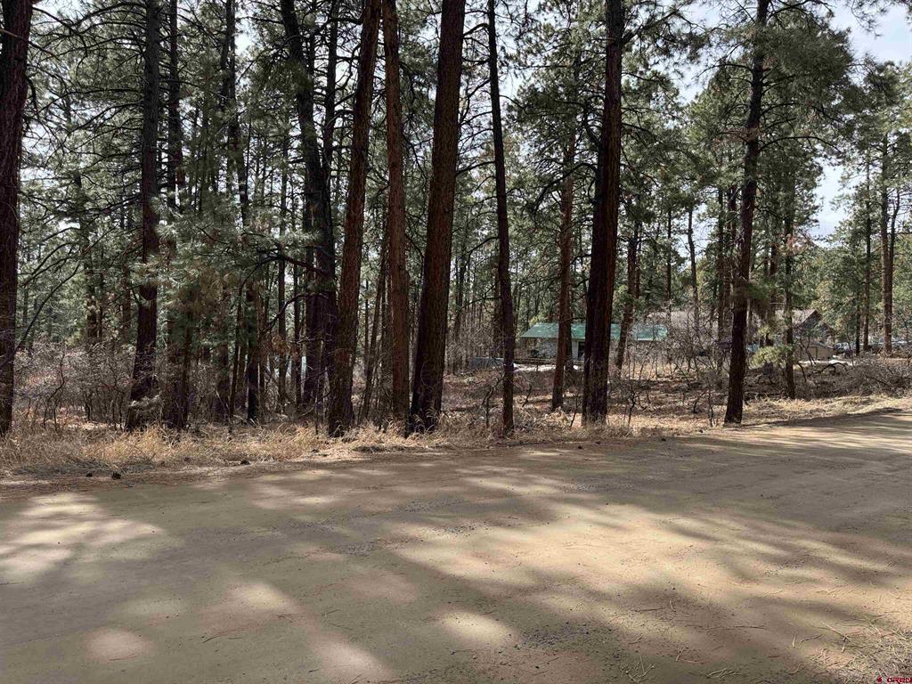 102 E Valley View Drive Property Photo 5