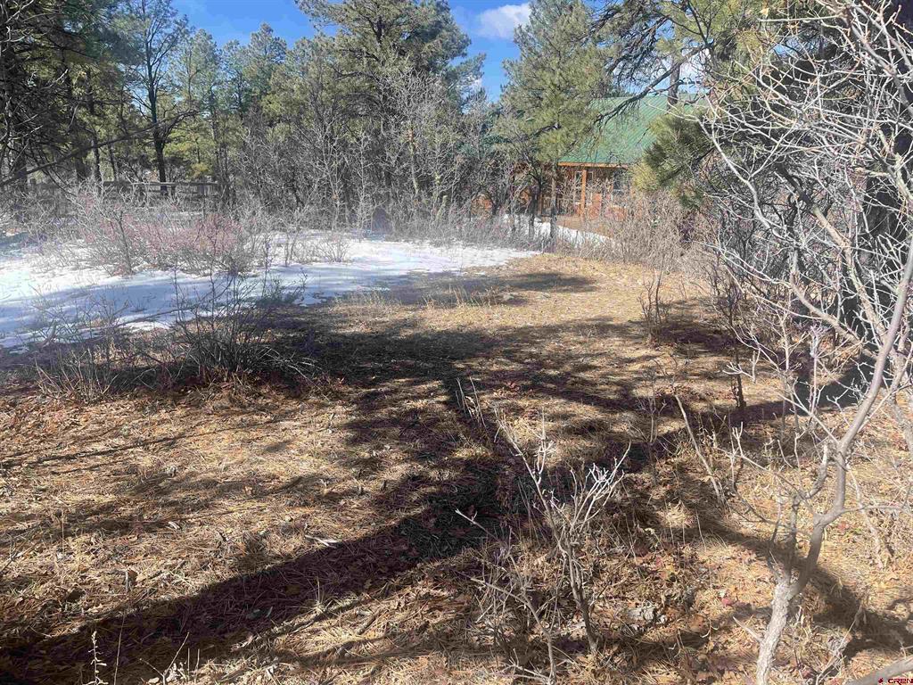 41 Pueblo Court Property Photo