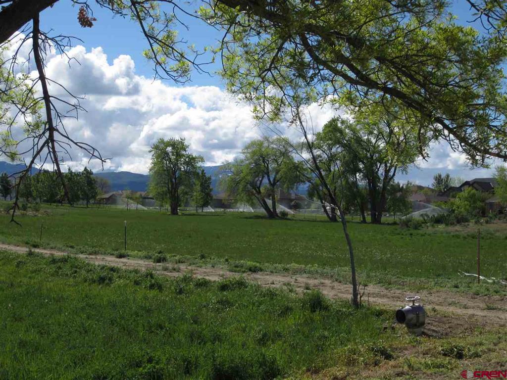 16666 6725 Property Photo 3