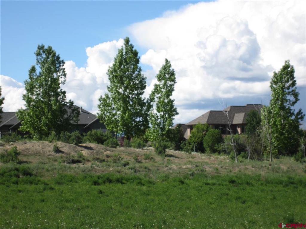 16666 6725 Property Photo 5