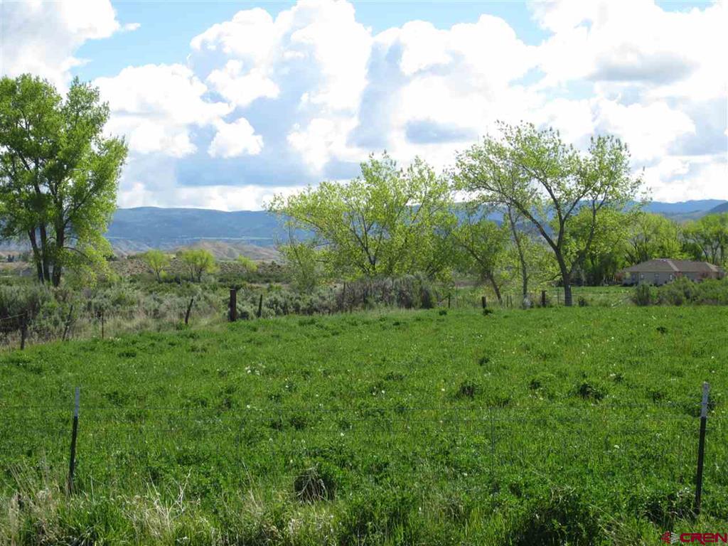 16666 6725 Property Photo 18