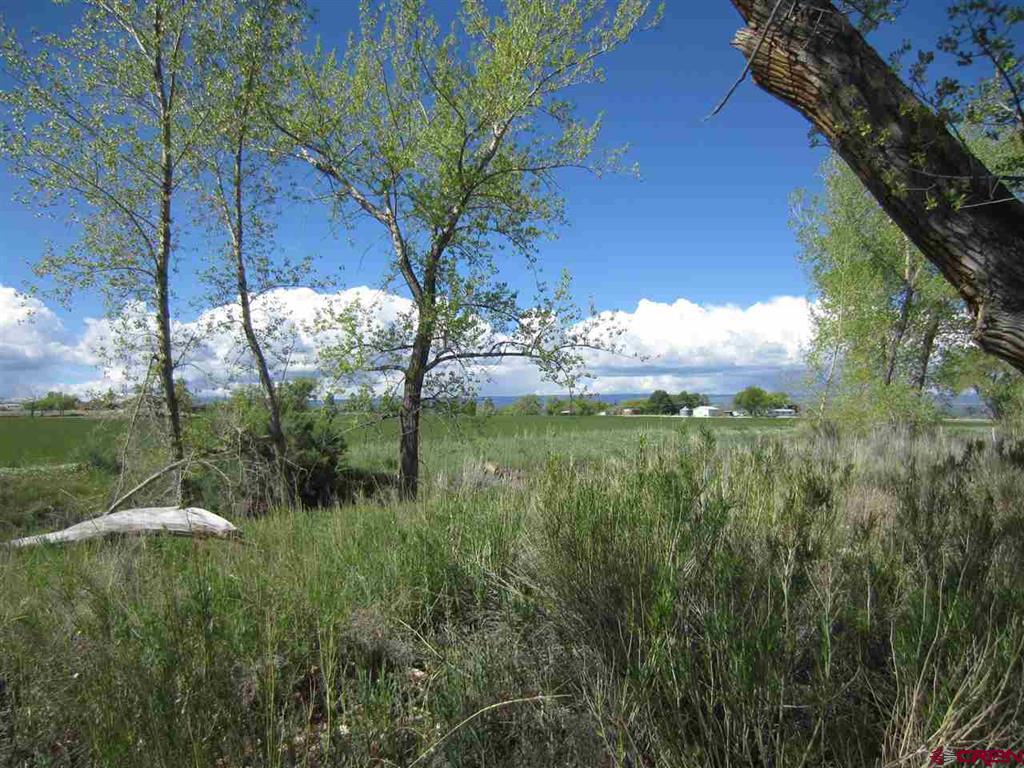 16666 6725 Property Photo 20