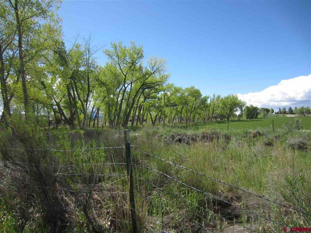 16666 6725 Property Photo 21