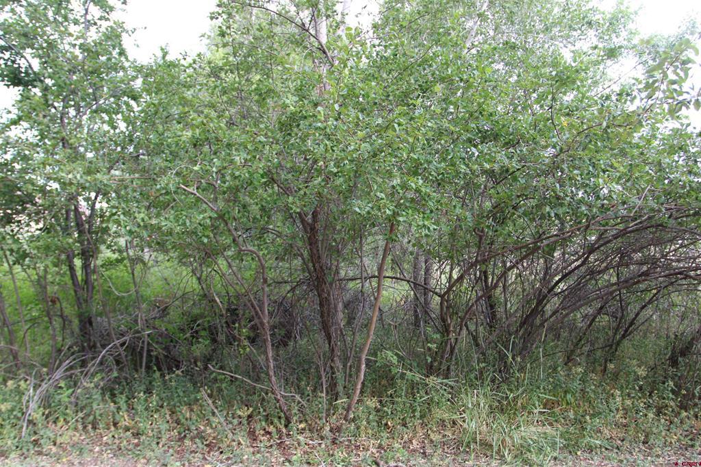 Lot 4, Tbd Se Stonebridge Drive Property Photo 18
