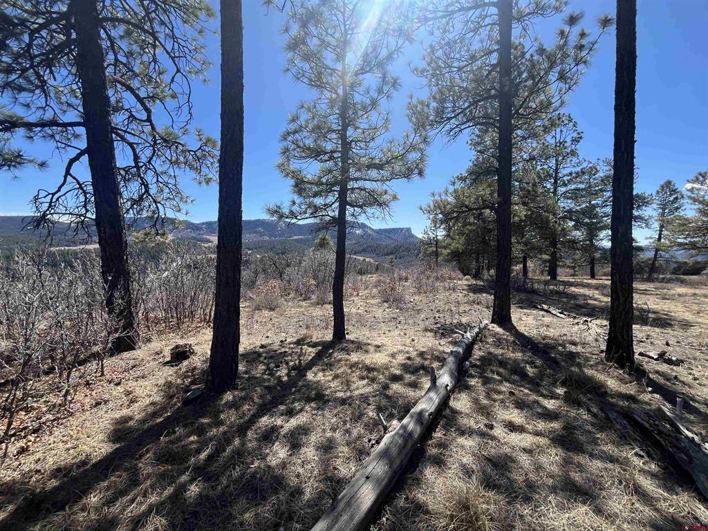 Archuleta County Real Estate Listings Main Image