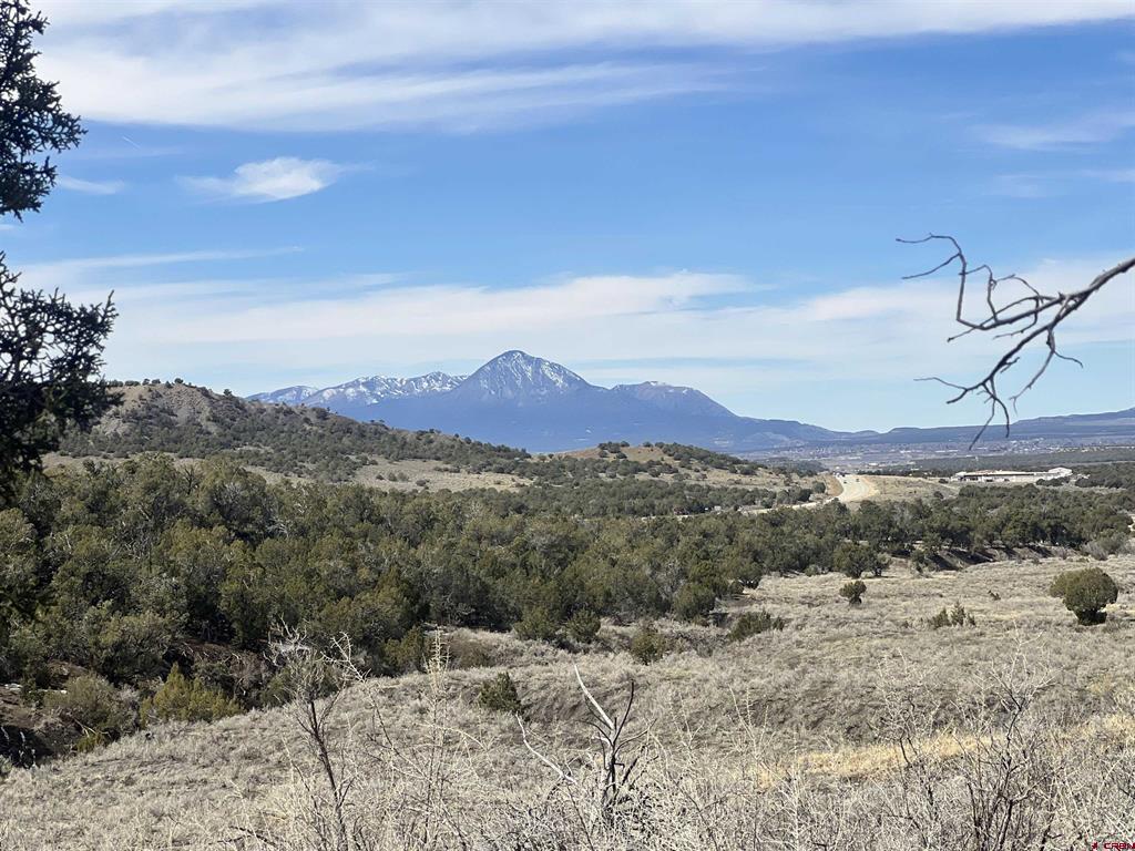 Cedar Mesa Ranches Real Estate Listings Main Image