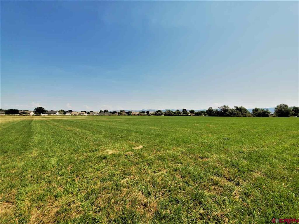 Other Real Estate Listings Main Image