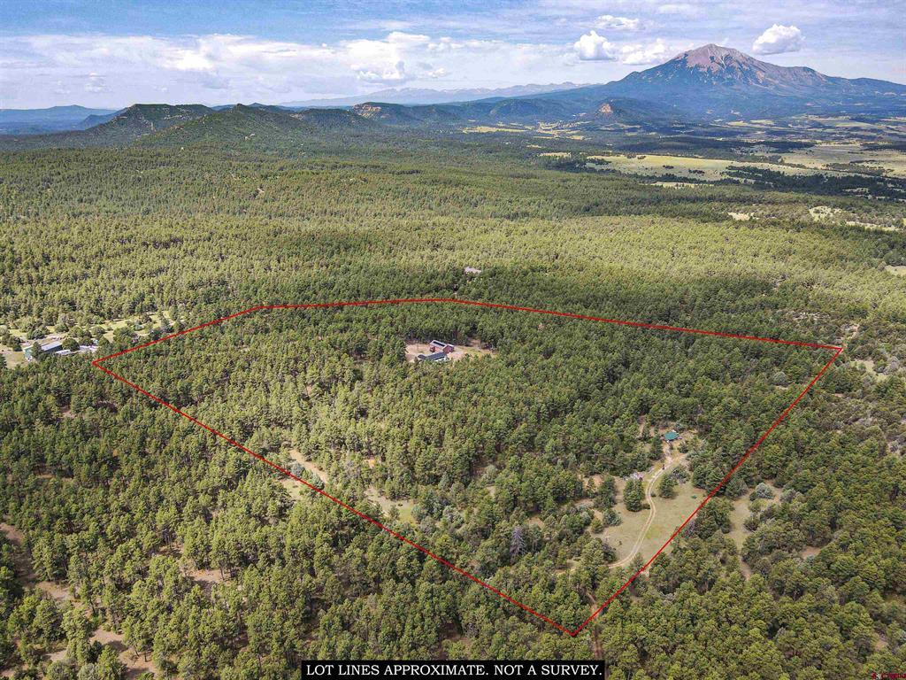 207 Meadow Spur Property Photo 7
