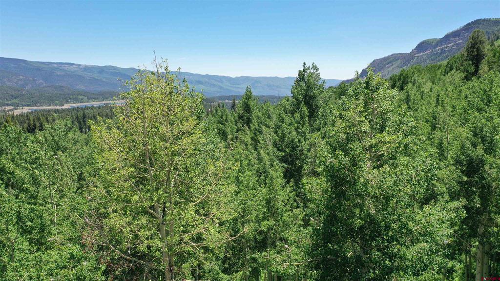 401 Wilshire Drive Property Photo 20